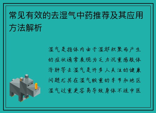 常见有效的去湿气中药推荐及其应用方法解析
